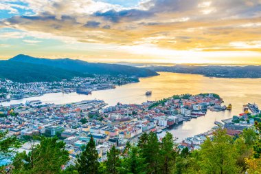 Bergen 'de gün batımı manzarası ve dağ çiçeğinden liman manzarası