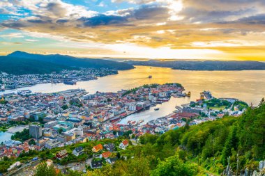 Bergen 'de gün batımı manzarası ve dağ çiçeğinden liman manzarası