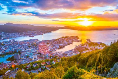 Bergen 'de gün batımı manzarası ve dağ çiçeğinden liman manzarası