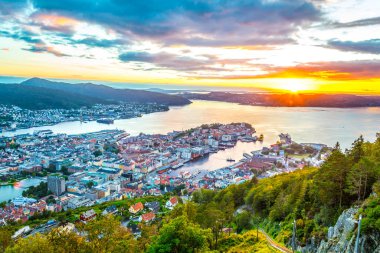 Bergen 'de gün batımı manzarası ve dağ çiçeğinden liman manzarası