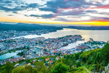 Bergen 'de gün batımı manzarası ve dağ çiçeğinden liman manzarası