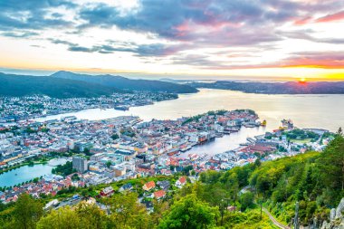 Bergen 'de gün batımı manzarası ve dağ çiçeğinden liman manzarası
