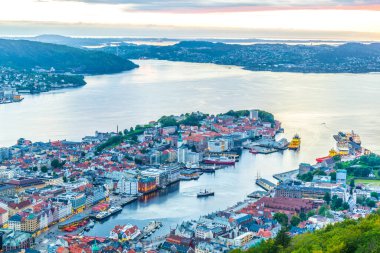Bergen 'de gün batımı manzarası ve dağ çiçeğinden liman manzarası