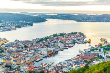 Bergen 'de gün batımı manzarası ve dağ çiçeğinden liman manzarası