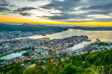 Bergen 'de gün batımı manzarası ve dağ çiçeğinden liman manzarası