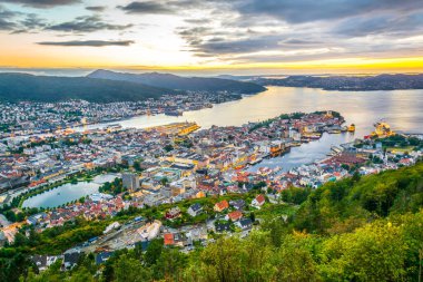 Bergen 'de gün batımı manzarası ve dağ çiçeğinden liman manzarası