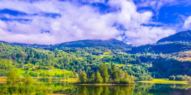 Aurlandsfjord - unesco Norwa 'daki doğal miras bölgesi.