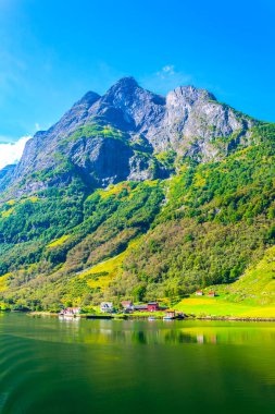 Norwa 'daki Aurlandsfjord' un kıyısındaki bir köyün manzarası - Unesco askere yazıldı.