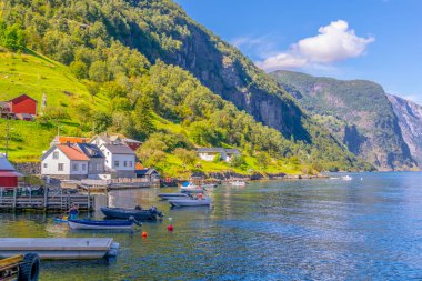 Norwa 'daki Aurlandsfjord' un kıyısındaki bir köyün manzarası - Unesco askere yazıldı.