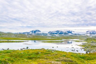 Oslo ve Berge arasındaki Norveç 'in en manzaralı demiryolu hattı boyunca Finse yakınlarındaki doğa manzarası