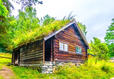 Norwa, Oslo 'daki Norveçli halk müzesinde geleneksel bir çiftlik evi manzarası