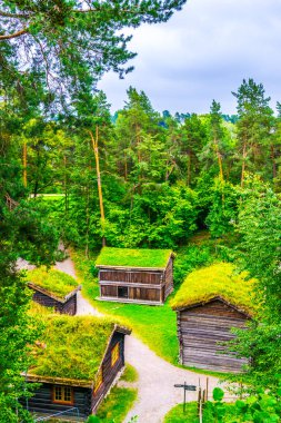 Norwa, Oslo 'daki Norveçli halk müzesinde geleneksel bir çiftlik evi manzarası