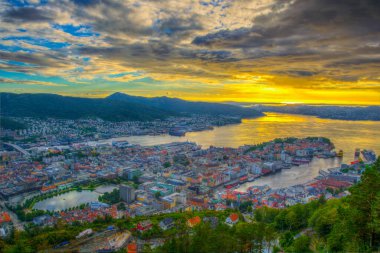Bergen 'de gün batımı manzarası ve dağ çiçeğinden liman manzarası