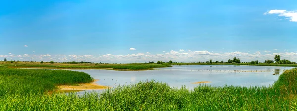 Avusturya 'nın Burgenland şehrinde bulunan bir tuz gölü..