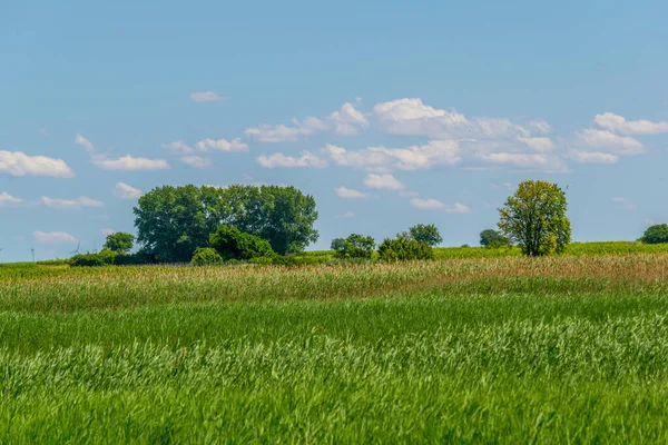 Saline Lake Situated Next Neusiedlersee Burgenland Austria — Foto de Stock