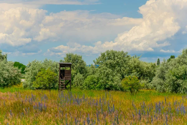 Dřevěná Rozhledna Kterou Používají Pozorovatelé Ptáků Vedle Neuseidlersee Rakousku — Stock fotografie