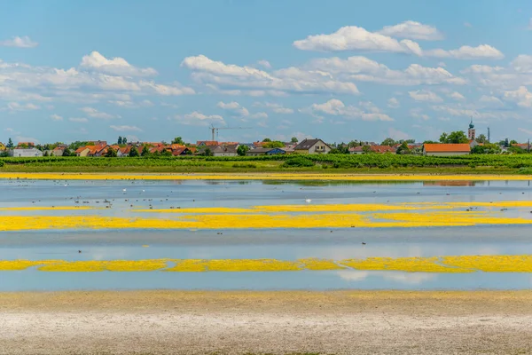 Avusturya 'nın Burgenland kentindeki Neusiedlersee ve Ilmitz köylerinin yanında bulunan bir tuzlu göl..