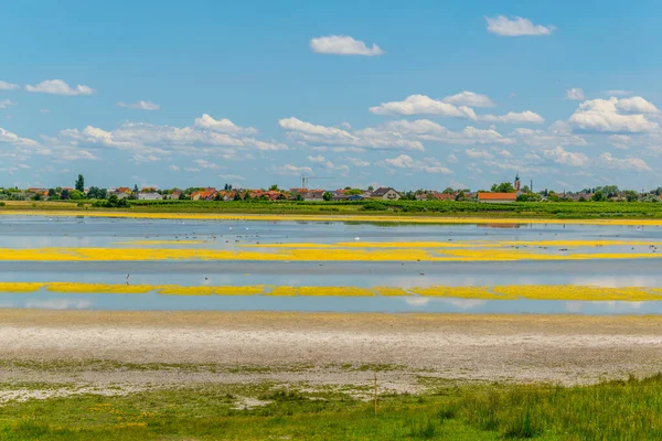 Avusturya 'nın Burgenland kentindeki Neusiedlersee ve Ilmitz köylerinin yanında bulunan bir tuzlu göl..