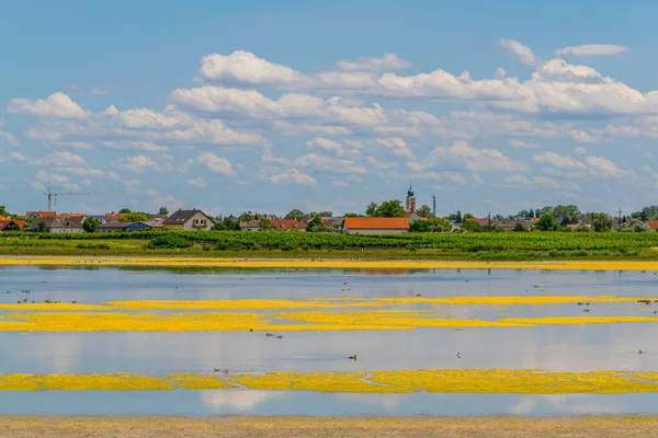 Avusturya 'nın Burgenland kentindeki Neusiedlersee ve Ilmitz köylerinin yanında bulunan bir tuzlu göl..