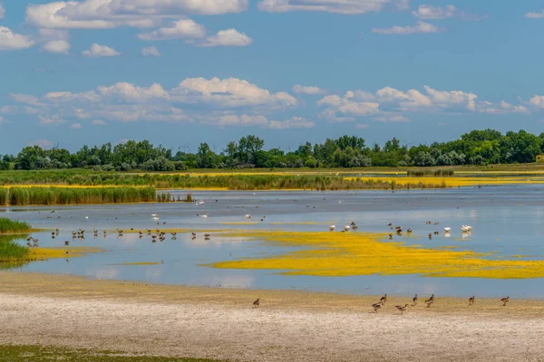 Avusturya 'nın Burgenland kentindeki Neusiedlersee ve Ilmitz köylerinin yanında bulunan bir tuzlu göl..