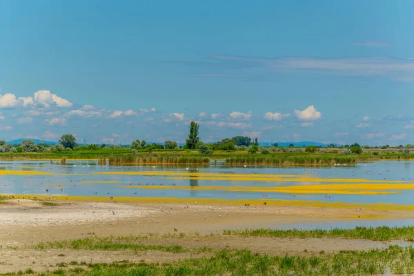 Avusturya 'nın Burgenland kentindeki Neusiedlersee ve Ilmitz köylerinin yanında bulunan bir tuzlu göl..