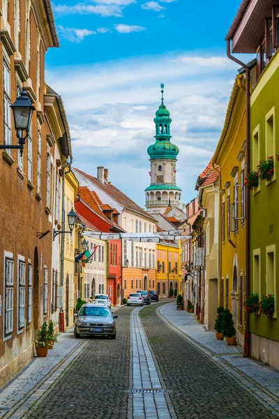 View Fire Tower Narrow Street Old Town Sopron Hungary — Stock fotografie