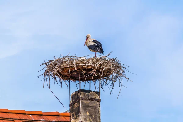 Avusturya 'nın Rust kenti. Neusiedler' in yanında yer alan göl, yaz mevsiminde yerel evlerin bacalarında yuva yapan leyleklerle ünlüdür..