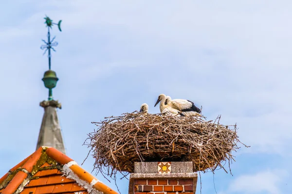 Avusturya 'nın Rust kenti. Neusiedler' in yanında yer alan göl, yaz mevsiminde yerel evlerin bacalarında yuva yapan leyleklerle ünlüdür..