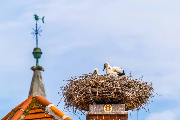 Avusturya 'nın Rust kenti. Neusiedler' in yanında yer alan göl, yaz mevsiminde yerel evlerin bacalarında yuva yapan leyleklerle ünlüdür..