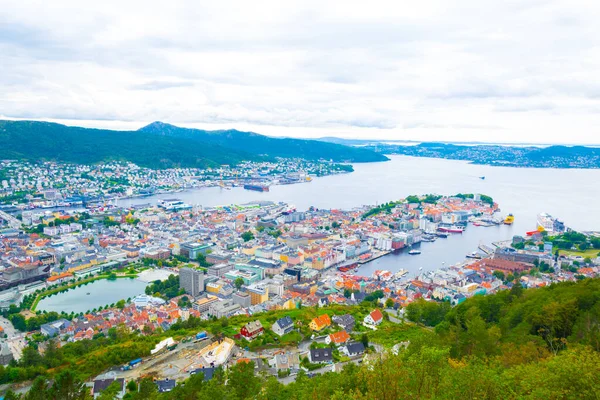 Bergen 'e ve limana dağ çiçeğinden bak.