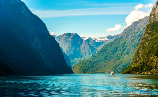 Aurlandsfjord Unesco Enlisted Natural Heritage Site Norwa — стокове фото