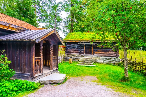 Norwa, Oslo 'daki Norveçli halk müzesinde geleneksel bir çiftlik evi manzarası