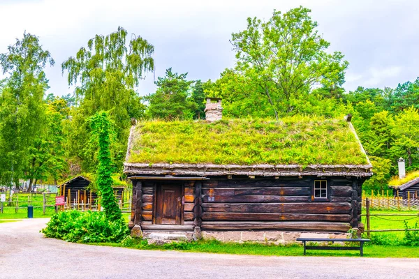 Norwa, Oslo 'daki Norveçli halk müzesinde geleneksel bir çiftlik evi manzarası