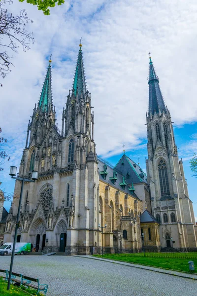 View Olomouc Cathedral Saint Vaclav Czech Republic — Stockfoto