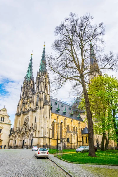 Saint vaclav, Czech cumhuriyetinin soykırım katedrali