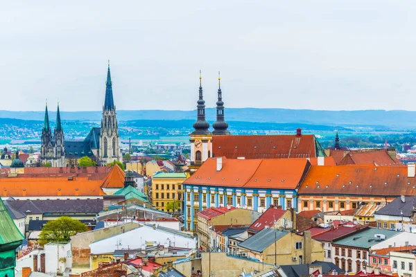 Czech City 'deki Saint Wencelas Katedrali' nin havadan görünüşü