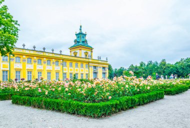 Wilanow 'daki Barok Sarayı Varşova, Polonya' daki bir gül bahçesinin arkasına gizlenmiş. 