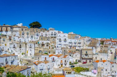 Aerial view of the italian town monte santangelo