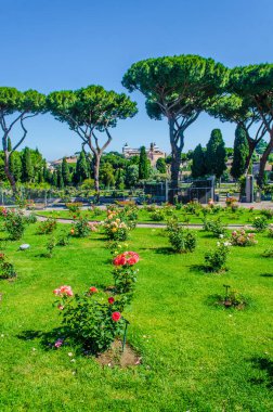 Roma 'daki Roseto di Roma Capital Garden manzarası. Bu bahçe aventino tepesinden şehre bakıyor..