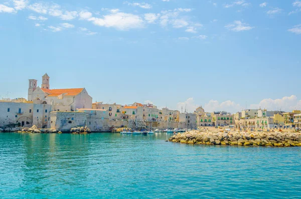 View Port Giovinazzo Dominated Majestic Building Local Cathedral Italy — Stock Fotó