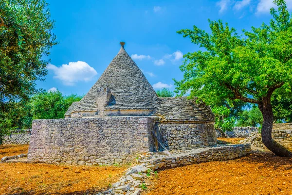 Puglia, İtalya 'da Alberobello' da üzüm bağlarıyla çevrili geleneksel beyaz trulli evler
