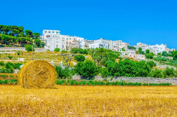 Martina Franca 'nın hakim olduğu Puglia bölgesinin kırsal manzarası