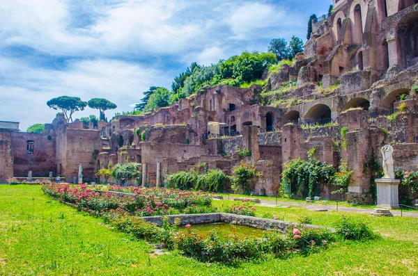 Ogni Anno Migliaia Turisti Passeggiano Tra Rovine Del Forum Romano — Foto Stock