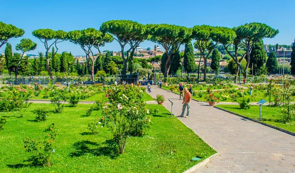 Roma 'daki Roseto di Roma Capital Garden manzarası. Bu bahçe aventino tepesinden şehre bakıyor..
