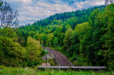 detail of semmeringbahn railroad leading through a dense forest in austria