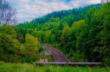Avusturya 'daki sık bir ormandan geçen semmeringbahn demiryolu detayları