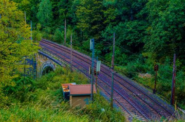 detail of semmeringbahn railroad leading through a dense forest in austria