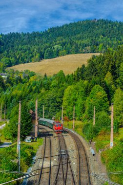 Breitenstein 'a bir tren geliyor. Austria' daki ünlü semmeringbahn tren istasyonunun bir parçası olan Unesco Dünya Mirası 'nın bir parçası.