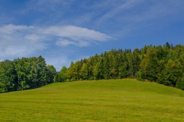 Avusturalya 'da bir çayır manzarası tek başına uzanan ünlü semmering bahn yürüyüş pisti.