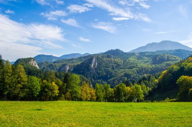 view of a meadow in austria stretched alongisde the famous semmering bahn walking track